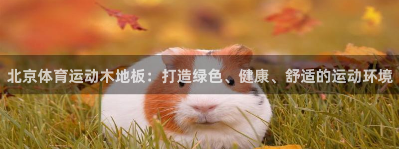 中欧体育最新地址：北京体育运动木地板：打造绿色、健康、舒适的运动环境