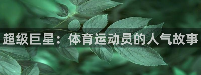 中欧体育最新地址：超级巨星：体育运动员的人气故事