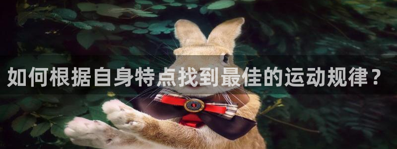 中欧体育kok官网首页：如何根据自身特点找到最佳的运动规律？