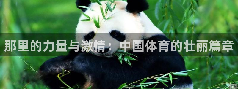 中欧体育kok：那里的力量与激情：中国体育的壮丽篇章
