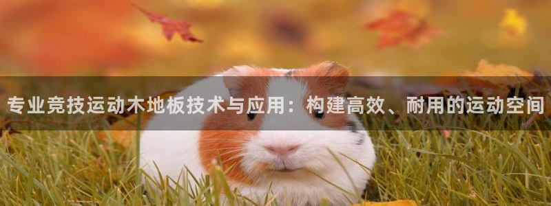 中欧体育集团：专业竞技运动木地板技术与应用：构建高效、耐用的运动空间