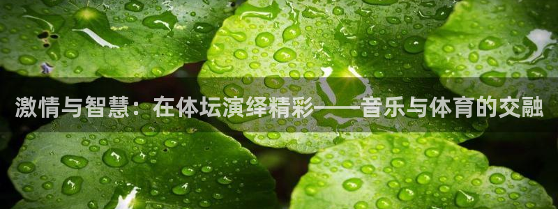 中欧体育最新地址：激情与智慧：在体坛演绎精彩——音乐与体育的交融